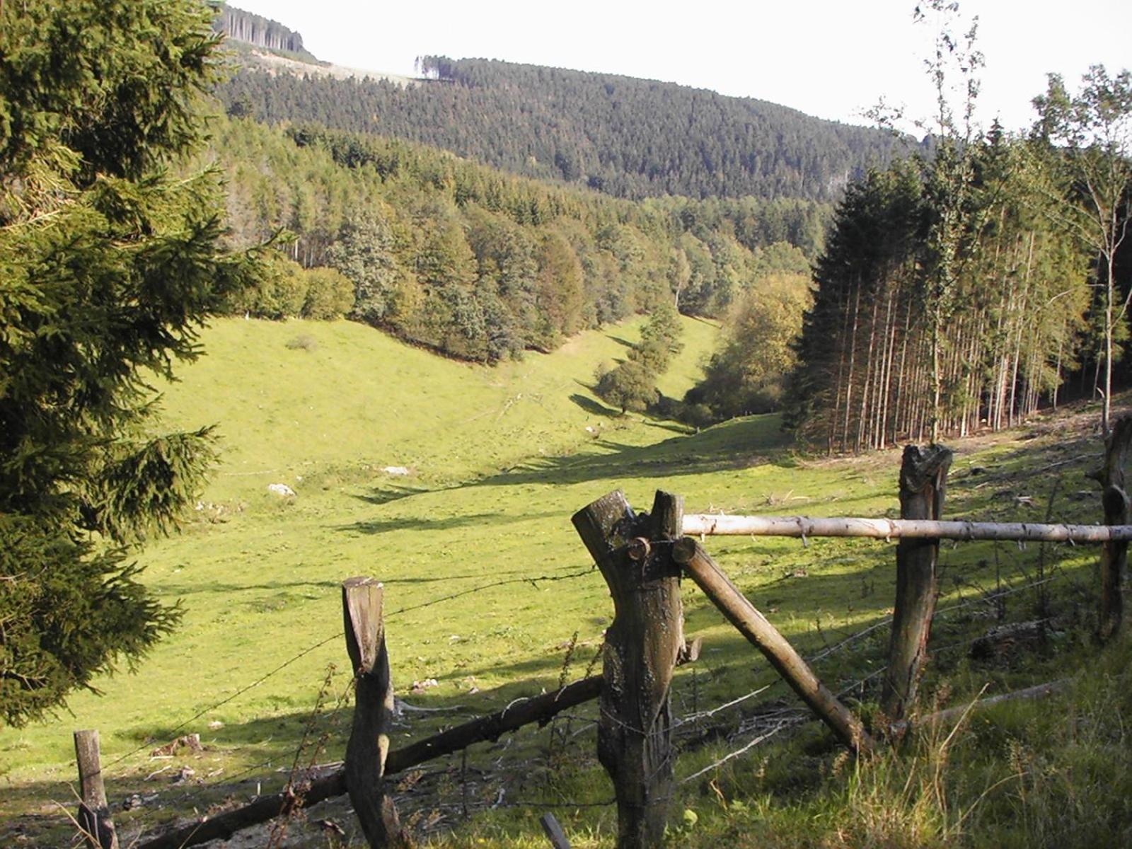 Sonneneck Winterberg Exterior foto